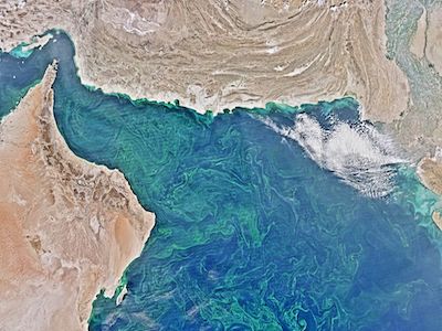 https://www.livescience.com/62489-dead-zone-arabian-sea.html